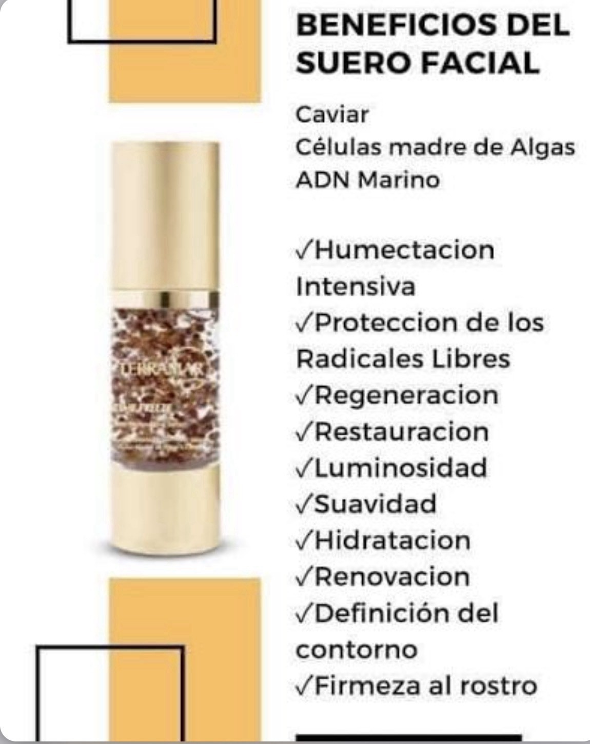 Suero Renovador con ADN Marino Time Freeze Celulas Madre Algas y Caviar Terramar