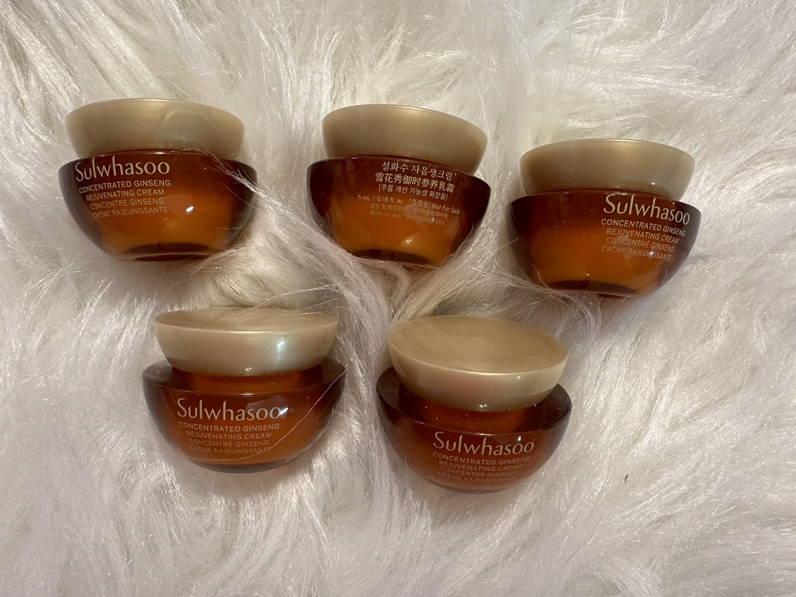 2024 Sulwhasoo Concentrated Ginseng Rejuvenating Cream 5ml x 5 Pcs (25ml)
