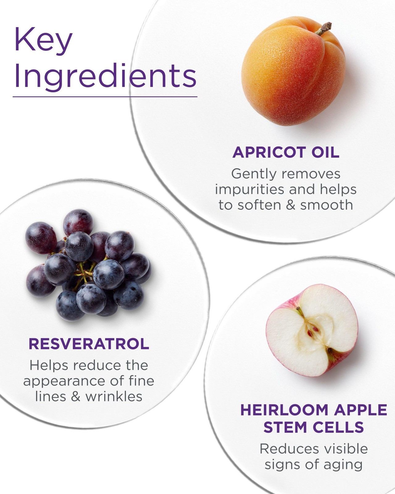 Andalou Naturals Age Defying Apricot Probiotic Cleansing Milk | Gentle Daily Hyd