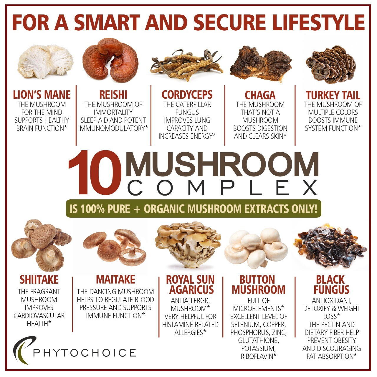 Defense10 Mushroom Complex Supplements Immune Support Lions Mane Reishi Maitake