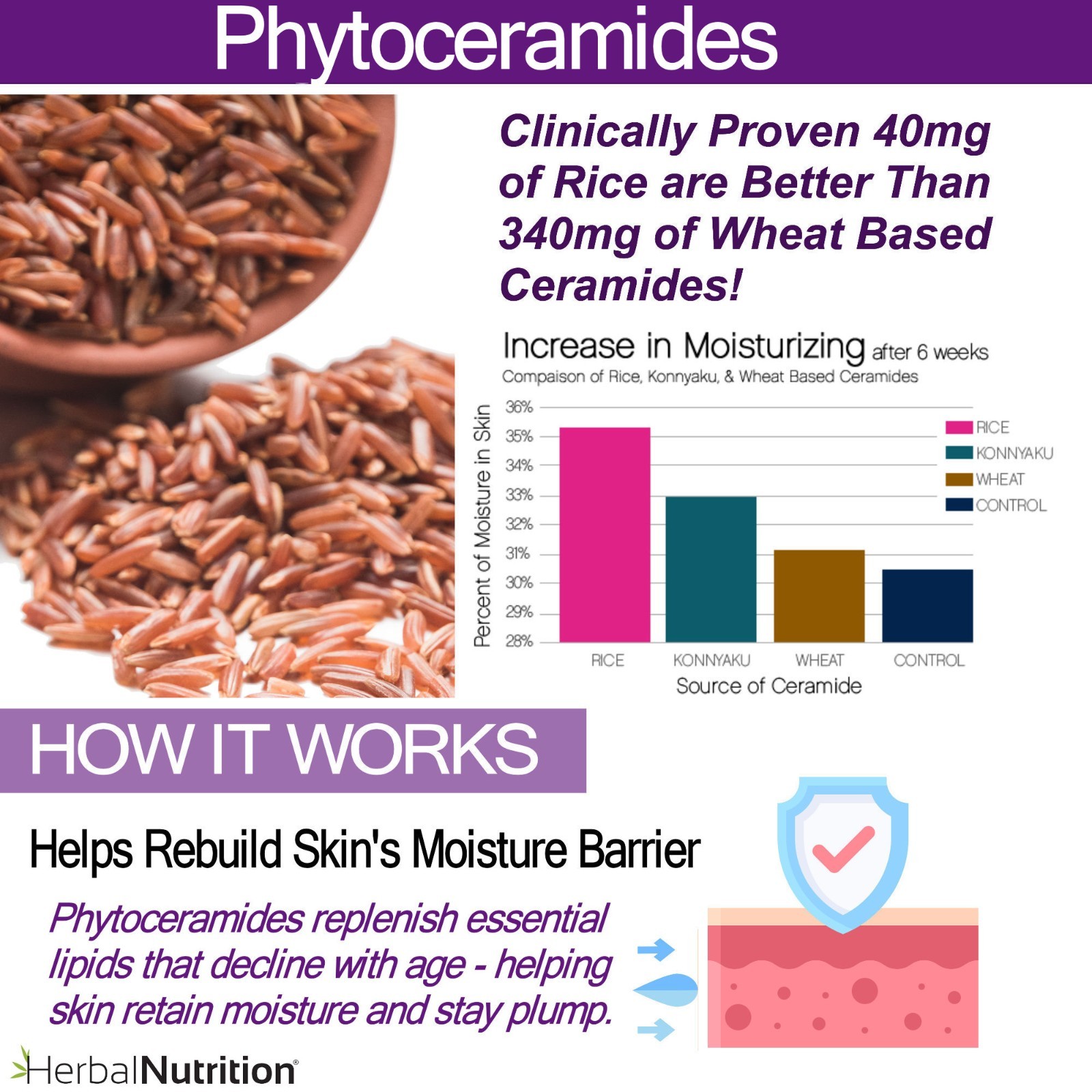 Phytoceramides Capsules Anti-Aging Product for Women & Men A Wrinkle Remover!