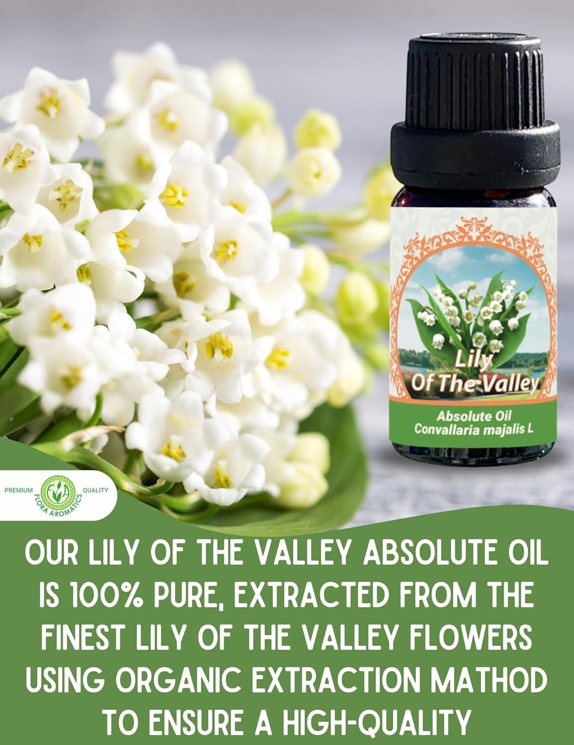 Lily of The Valley Absolute Oil (Convallaria majalis) 0.33 fl oz/ 10 ml