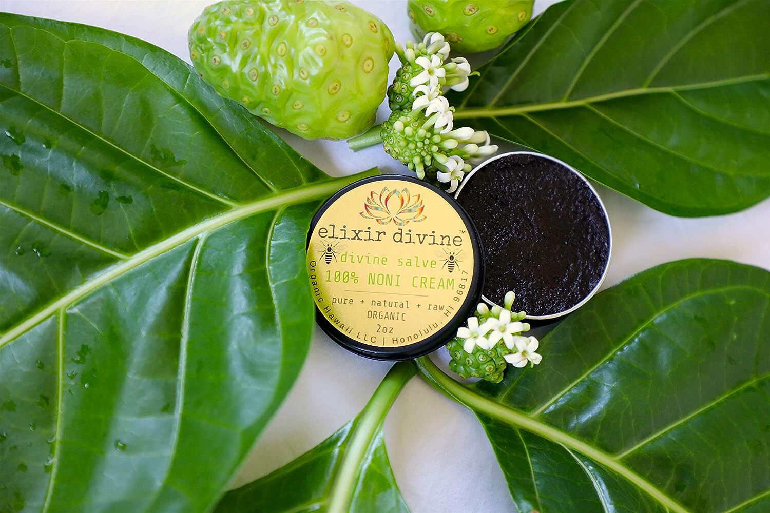 Organic Noni Fruit Cream [Divine Salve] Organic Hawaii 100% RAW 2oz ElixirDivine