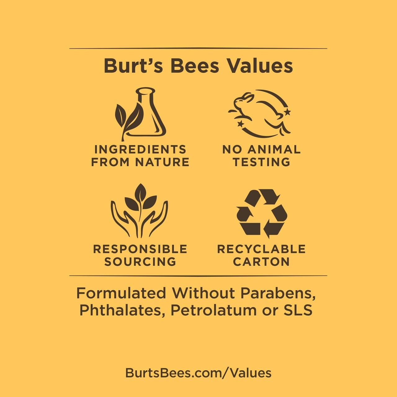 Burt’s Bees Rejuvenating Facial Oil with Rosehip Seed Extract 0.51 oz