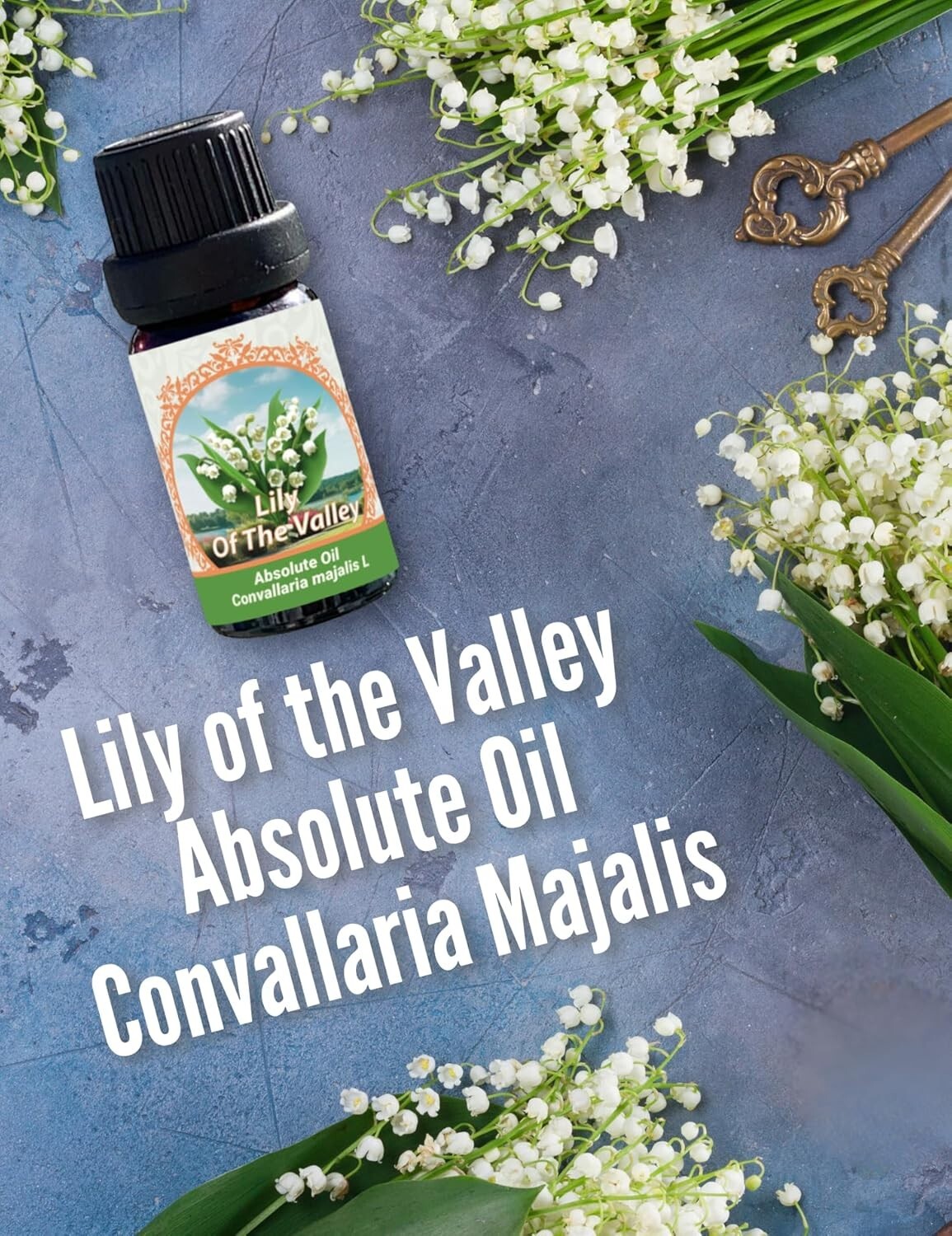 Lily of The Valley Absolute Oil (Convallaria majalis) 0.33 fl oz/ 10 ml