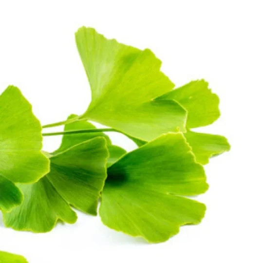 All in one Face treatment with Colloidal Silver and cucumber licorice root