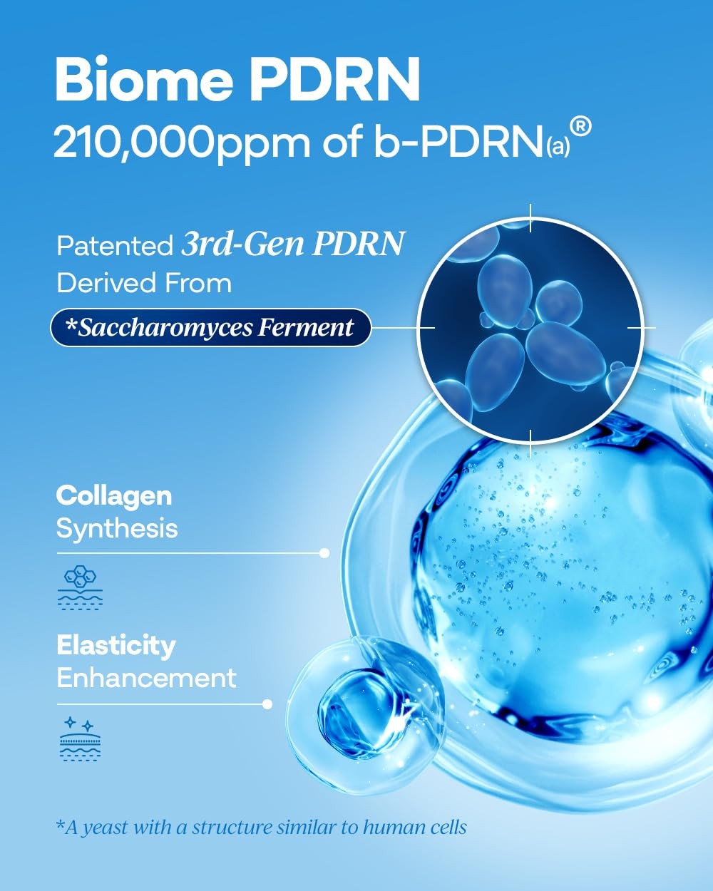 Bano Pdrn 500 Serum Pdrn Peptides Skincare For Sensitive 1.01 Fl Oz