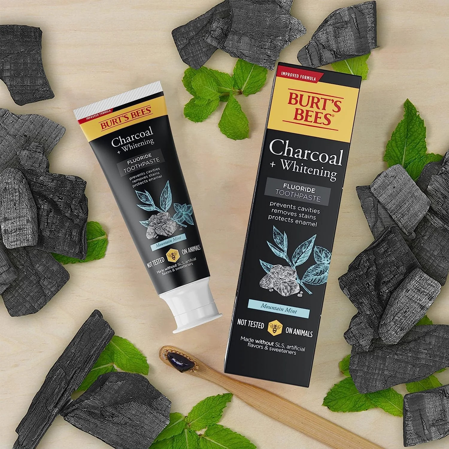 Burt’s Bees Toothpaste, Natural Flavor, Charcoal with Fluoride Toothpaste, Mount