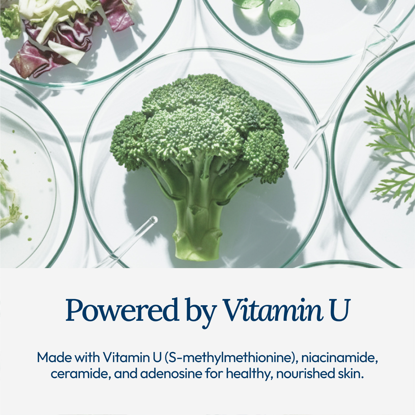 CU: Vitamin U Moisturizing Cream, Korean Skincare Hydrating Facial Cream, 50ml
