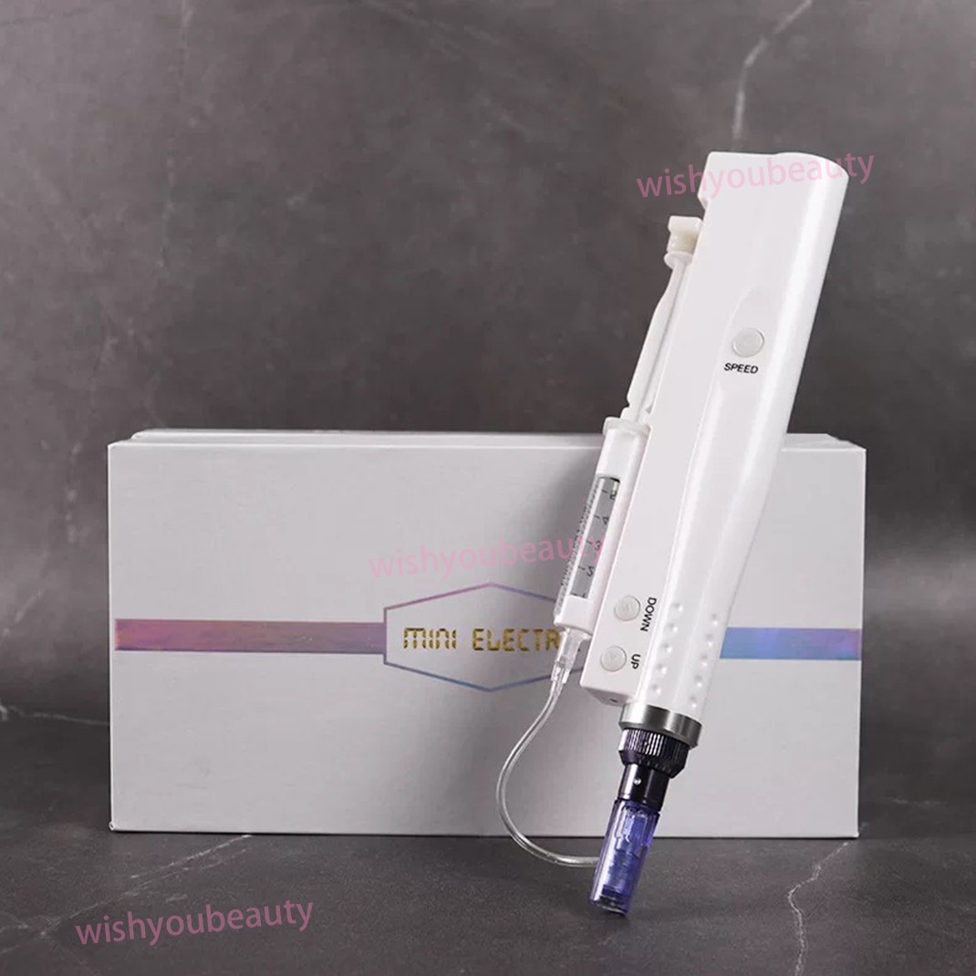 Home Use Skin Beauty Micro Pen with 42 Pin Replacement Needle Accessories