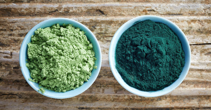 Algae For The Brain – Detox – Organic Blue Green Algae 500 – Spirulina Caps 1B