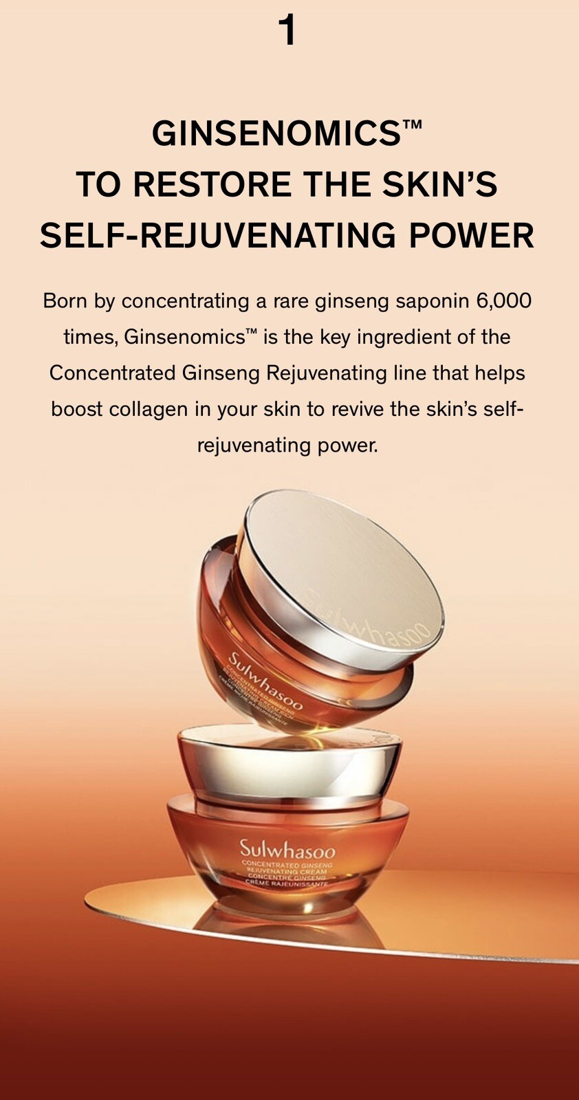 2024 Sulwhasoo Concentrated Ginseng Rejuvenating Cream EX 5ml x 10 Pcs (25ml)