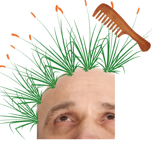 CAPIXYL™ HAIR EYELASH GROWTH PEPTIDE
