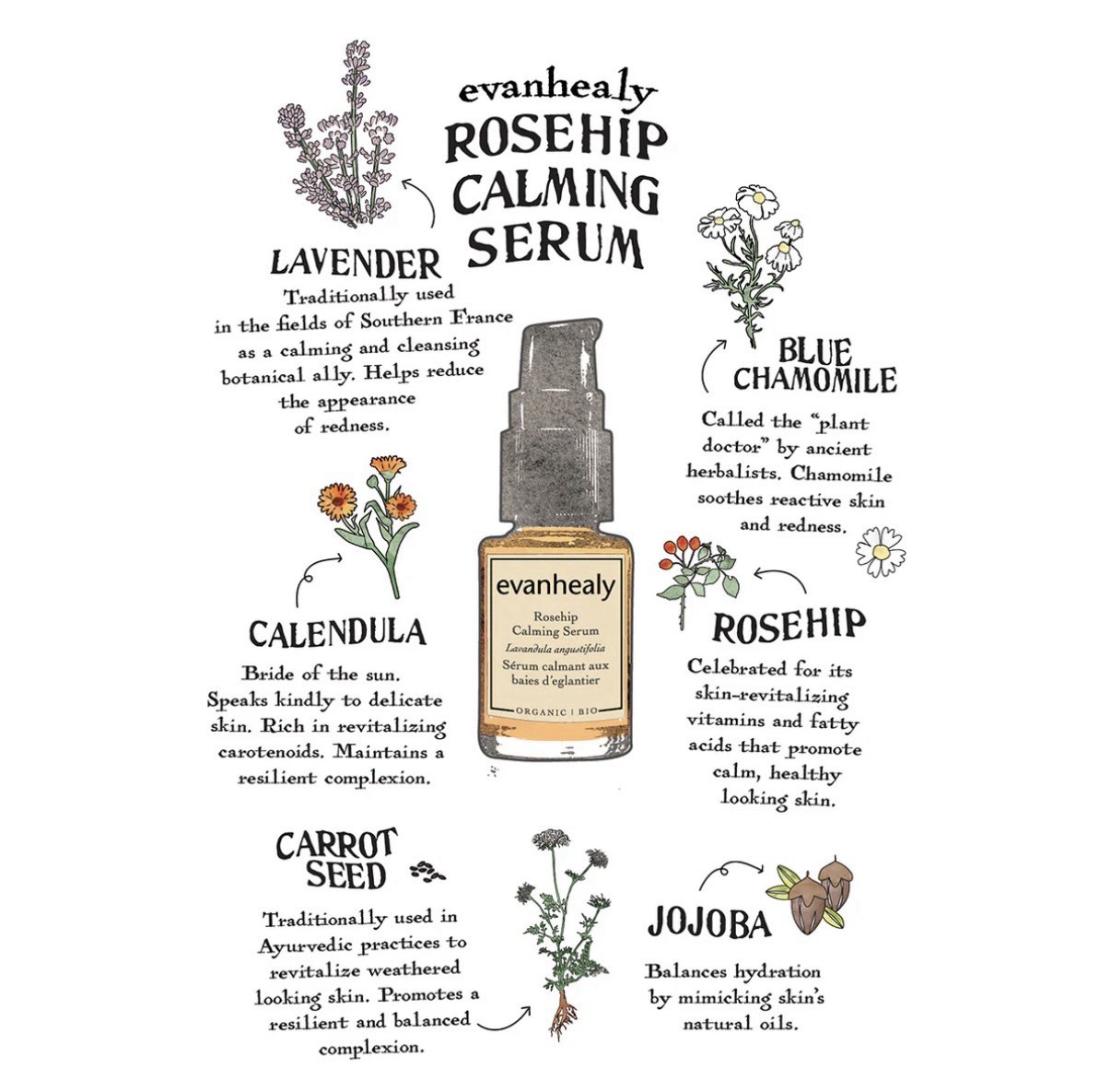 EVANHEALY ROSEHIP CALMING SERUM All Skin Especially Sensitive Exp. 5/26 -NEW-