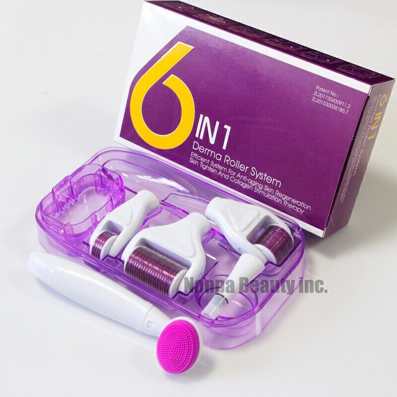 6 in 1 Derma Roller Micro Pin Roller Scars Wrinkle Anti-Aging Skin Care Kit Set
