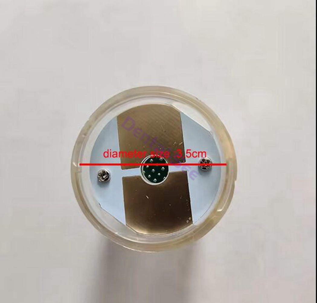 5Pcs RF Micro Needle Cartridge Tip Nano 25Pins Gold Plated for RF Machine
