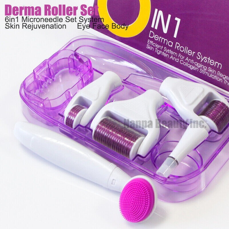 6 in 1 Derma Roller Micro Pin Roller Scars Wrinkle Anti-Aging Skin Care Kit Set